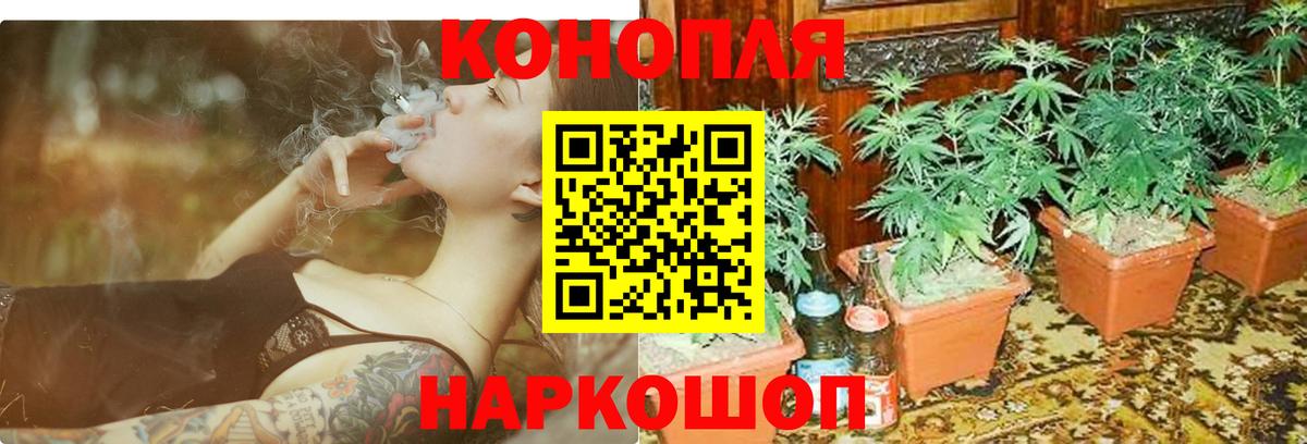 Каннабис тримм  Каннабис LSD WEED  Шишки марихуана ГИДРОПОН  Верхняя Пышма  Каннабис THC 21%  Вход с VPN 
